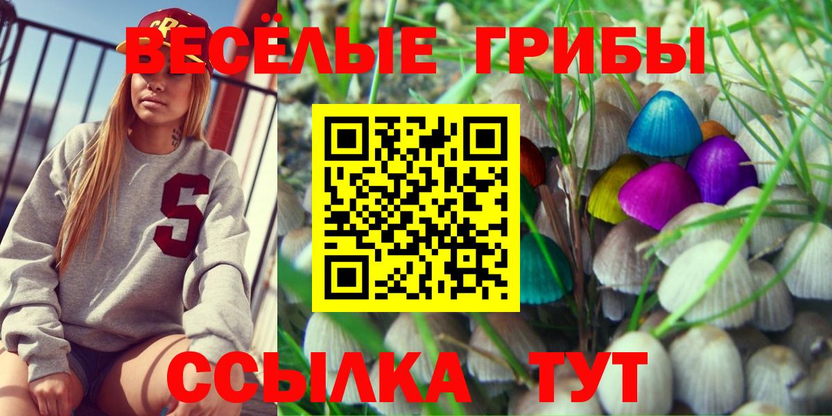 цены   Псилоцибиновые грибы MAGIC MUSHROOMS  Вход с VPN  Богданович 