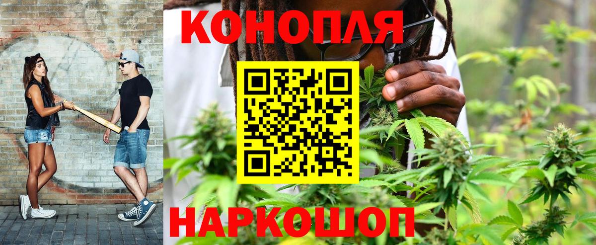 Канабис MAZAR Богданович